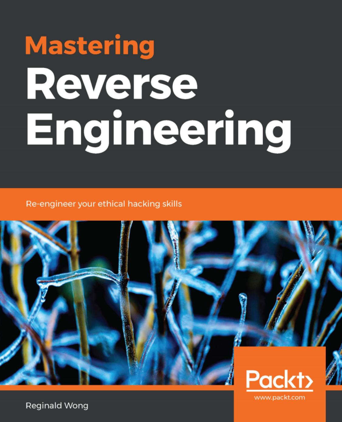Mastering Reverse Engineering Re-engineer your ethical hacking skills by Reginald Wong (z-lib.org)